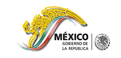 GOBIERNO